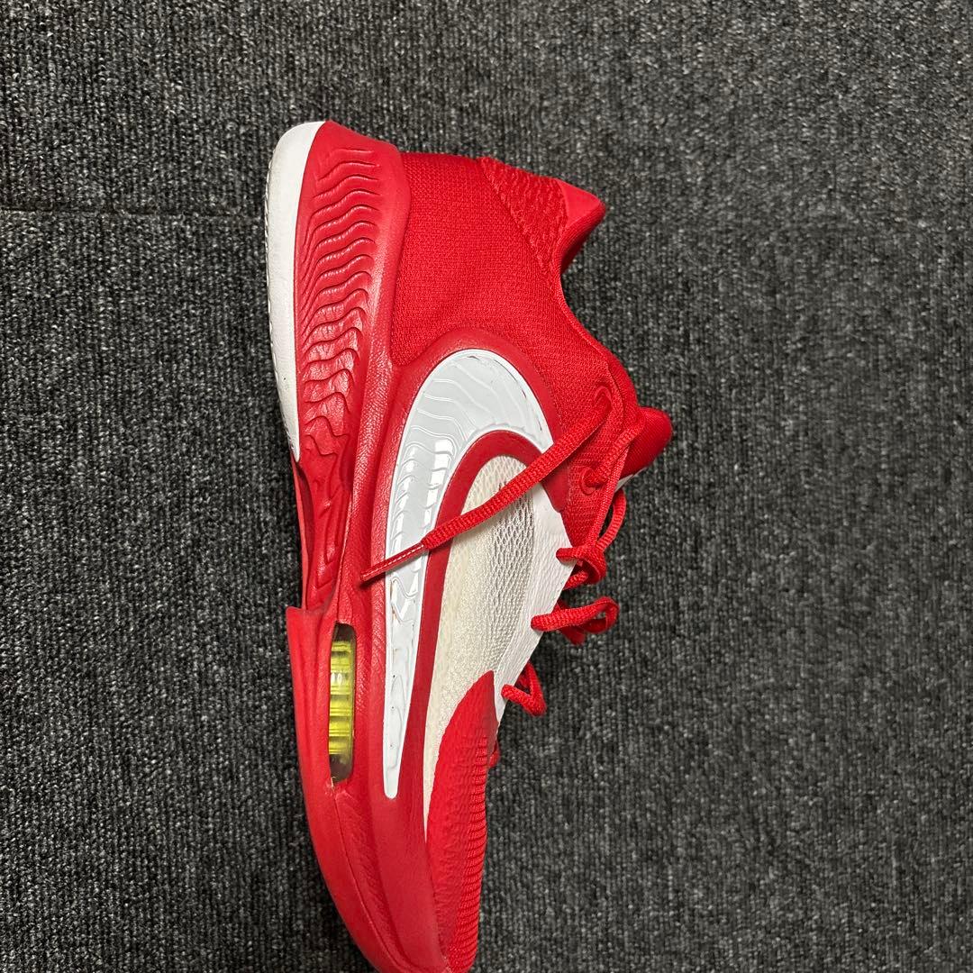 Nike Zoom Freak 4 Team ヤニスアデトクンボ