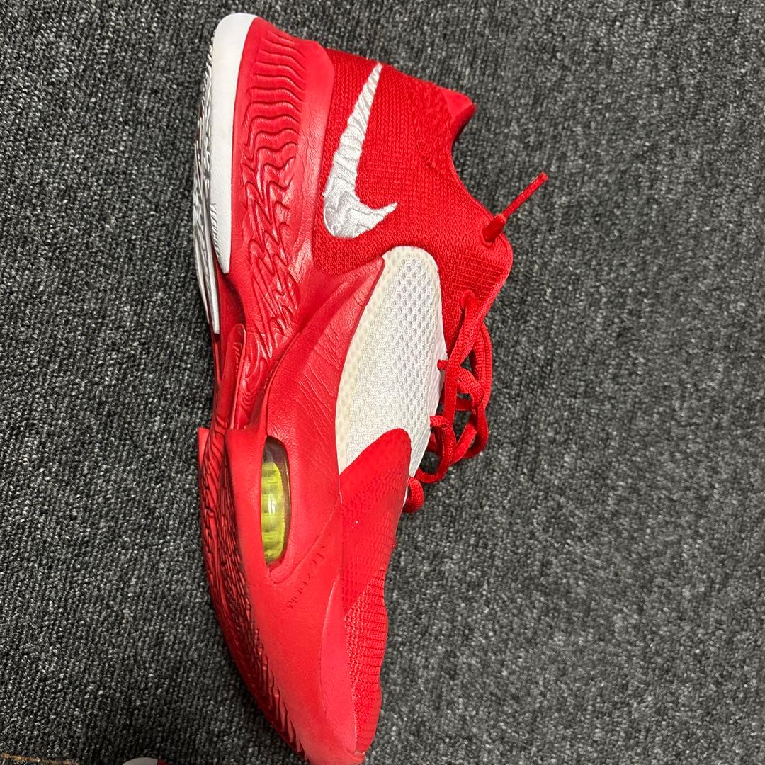Nike Zoom Freak 4 Team ヤニスアデトクンボ