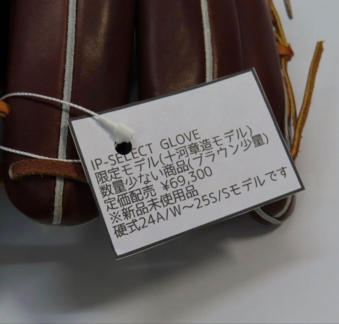 アイピーセレクト　十河モデル　硬式　グローブ
