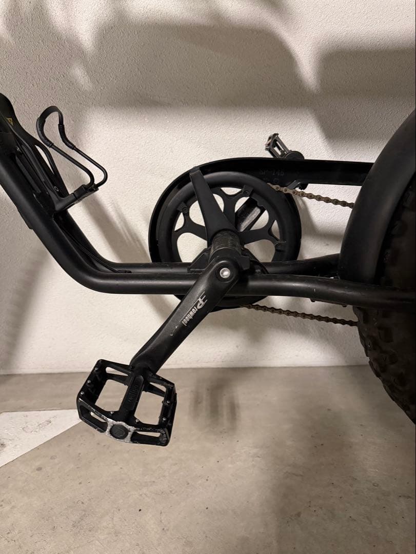 FLOW BIKE フローバイク 正規品