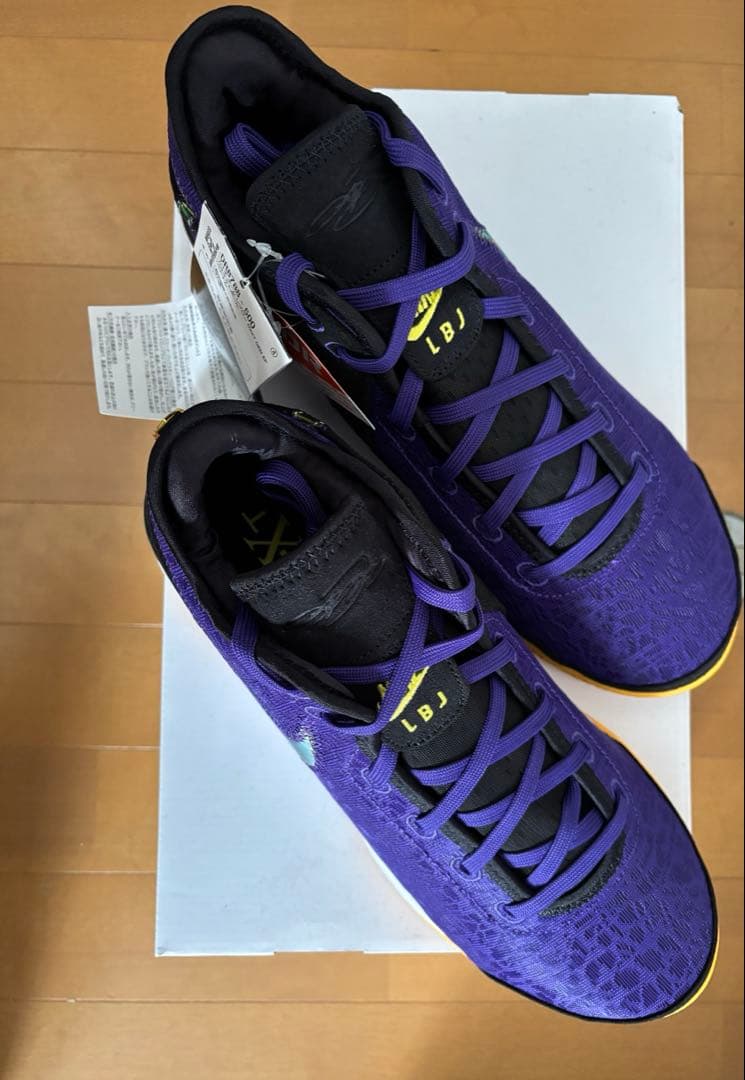 【新品・タグ付き】Nike LeBron NXXT Gen ナイキ レブロン