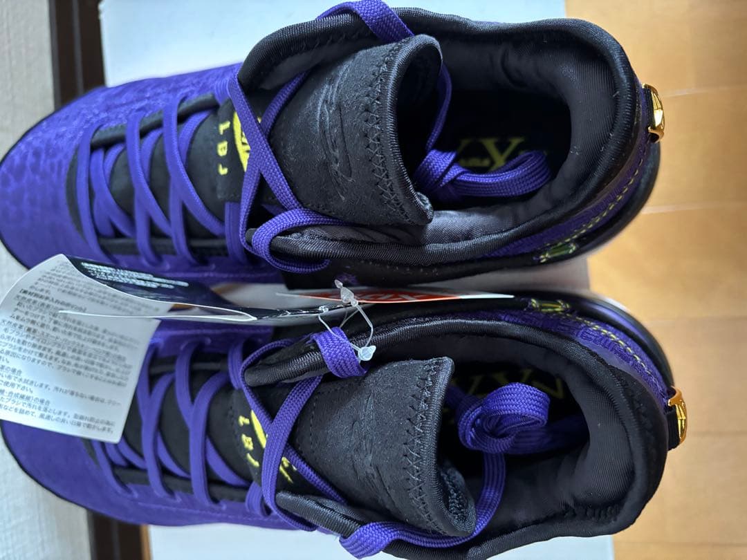 【新品・タグ付き】Nike LeBron NXXT Gen ナイキ レブロン