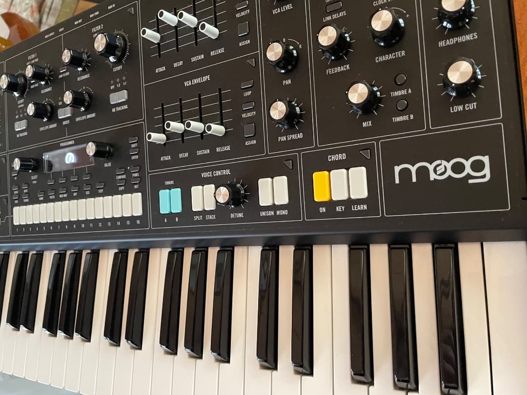 新品同様！ほぼ未使用！MOOG MUSE アナログシンセサイザー