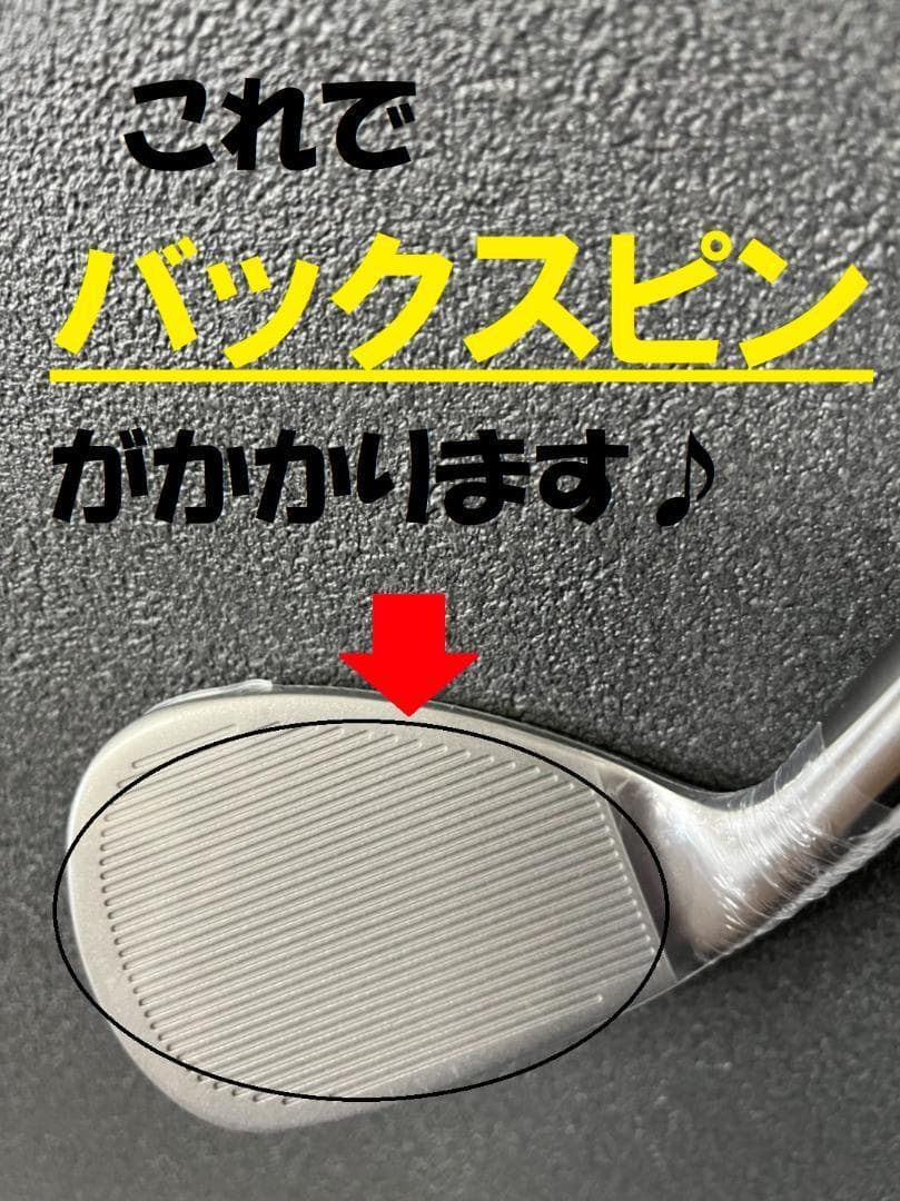 ヘッド単品 強烈！【新品2個セット】ダイナミクス ハイスピン ウェッジ