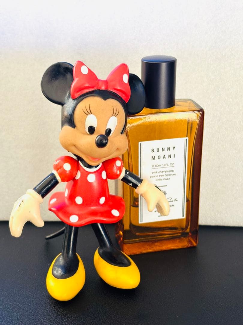 ✨️レア✨️東京ディズニーランド初期フィギュア ミッキー＆ミニーヴィンテージ