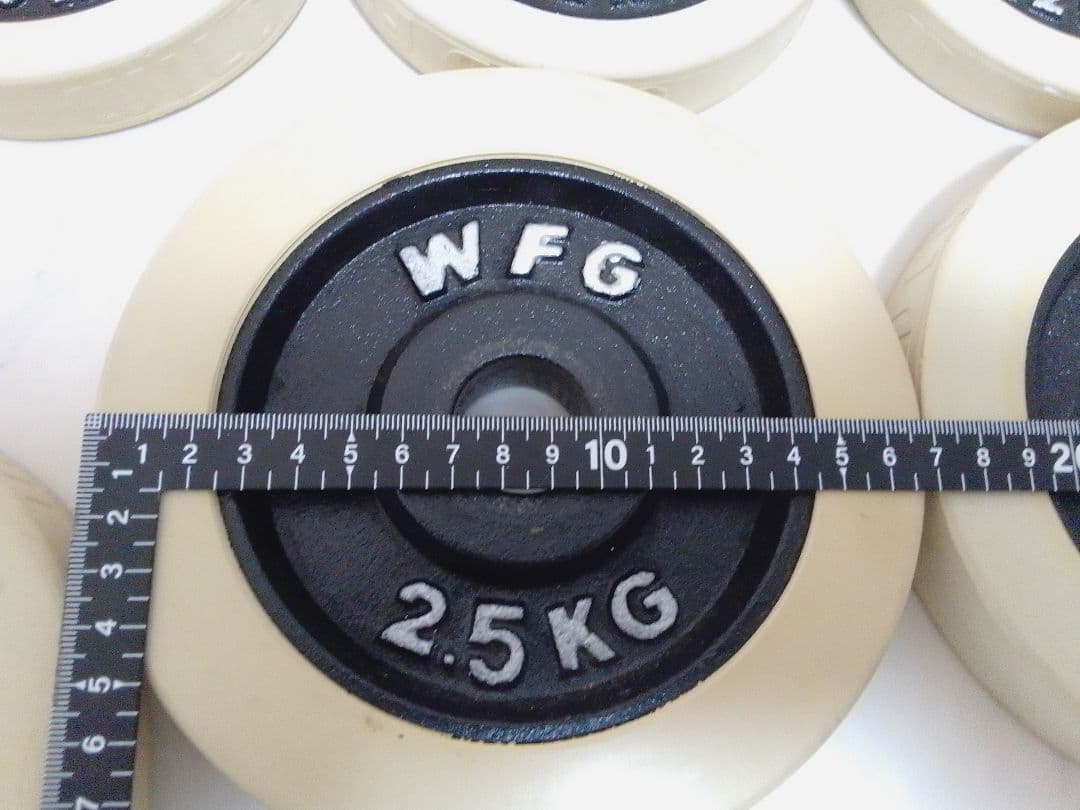 WFG ワイルドフィット ラバー付 ダンベル プレート 約20kg セット