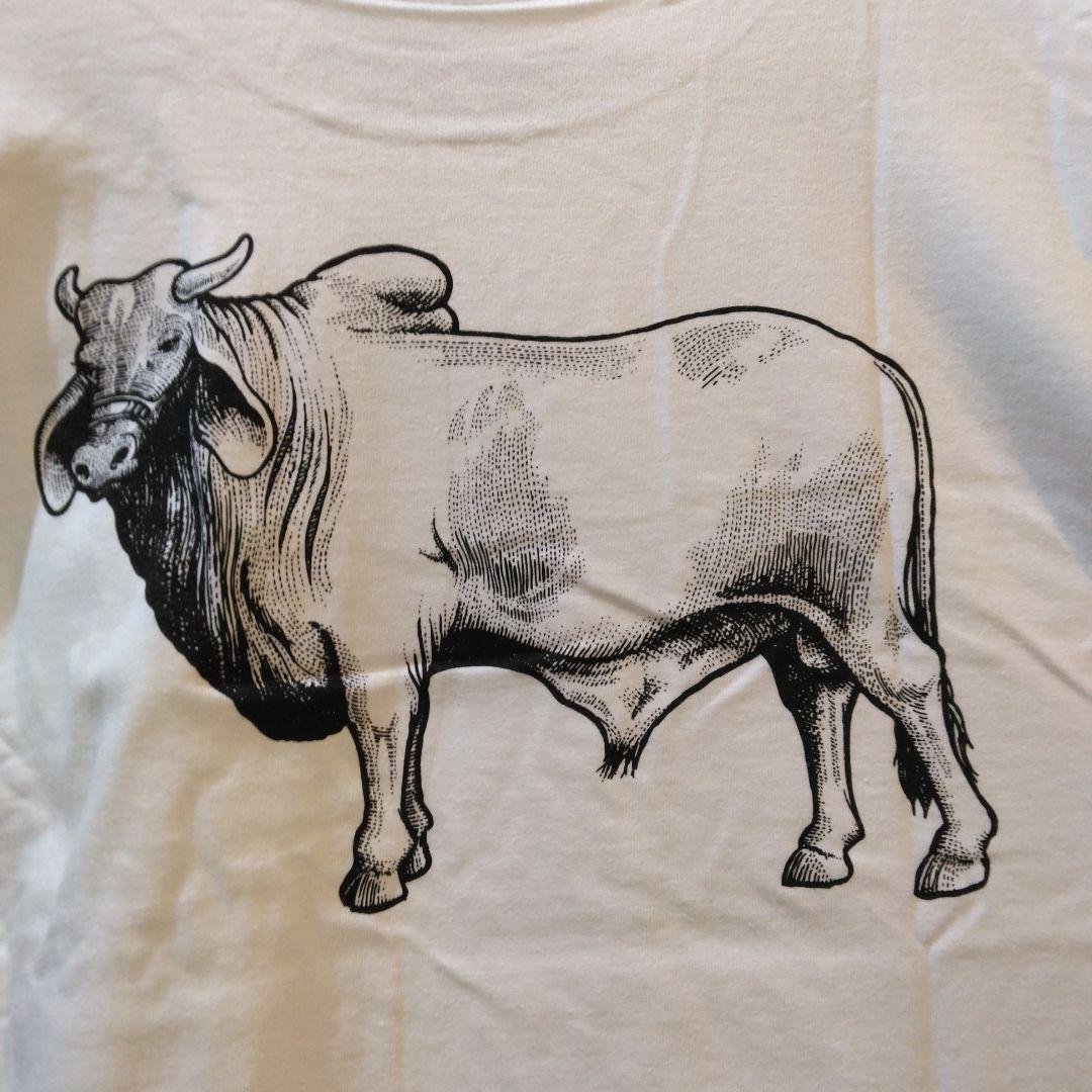 超貴重！ ANTI HERO - COW BACKSIDE TEE