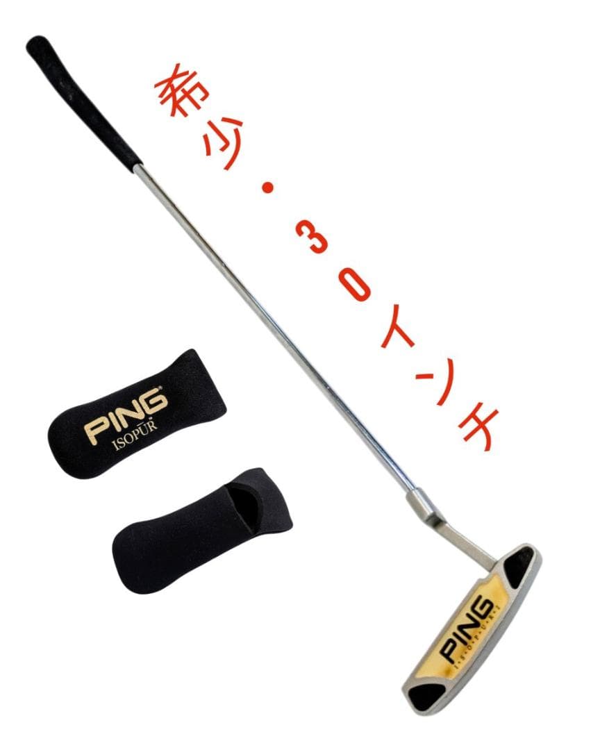 ピン・PING ☆I・S・O・P・U・R・E☆ karsten anser 2i