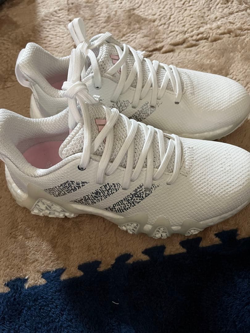 adidas スパイクレス ゴルフシューズ 23cm コードカオス