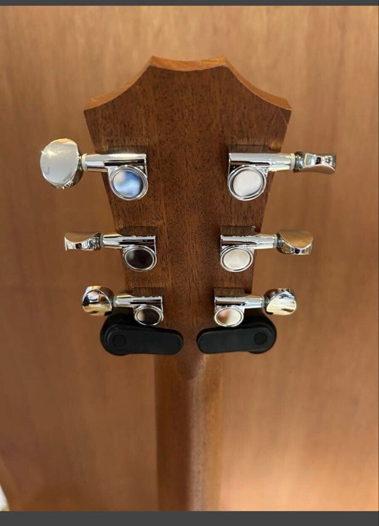 新同品　Taylor GS mini テイラー