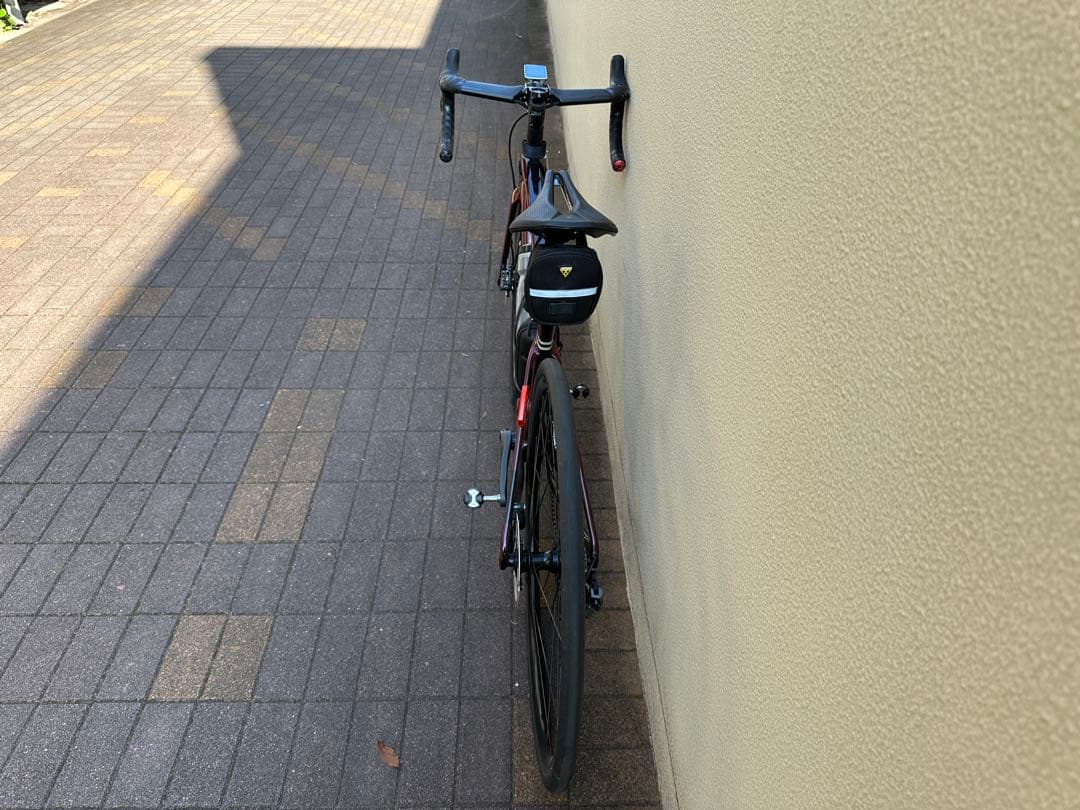 SPECIALIZED ROUBAIX EXPERT UDI2 2019年
