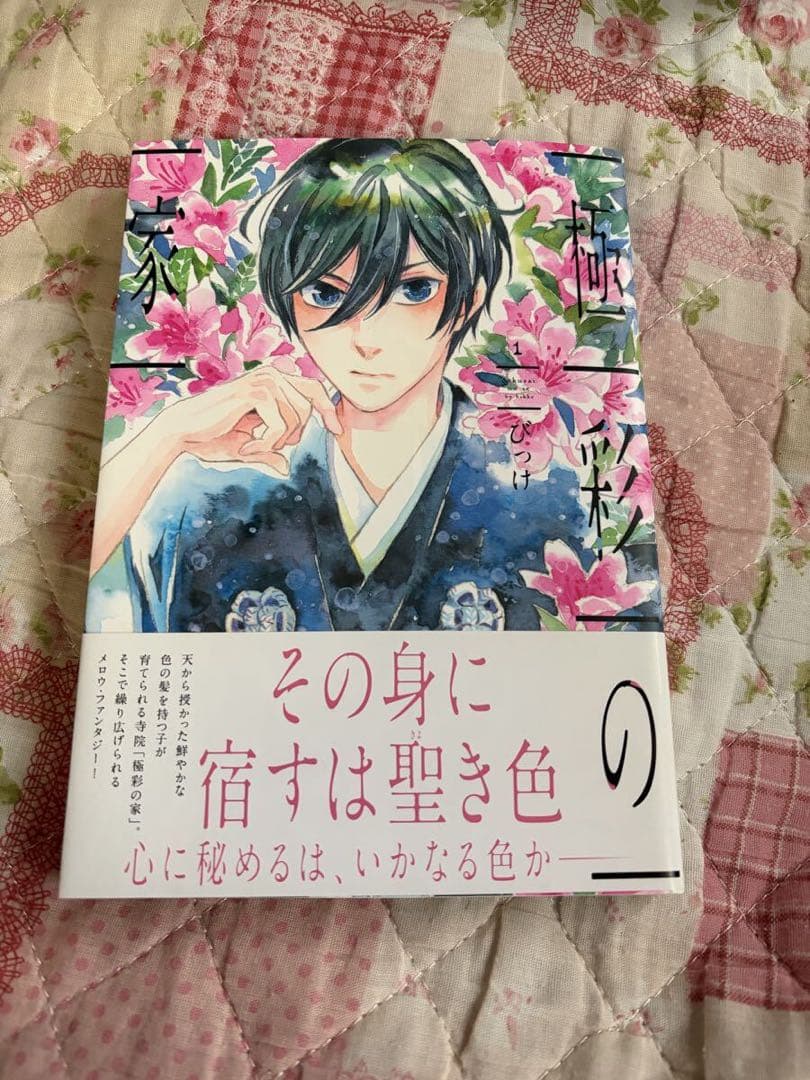 直筆イラストサイン本 極彩の家 1巻 びっけ