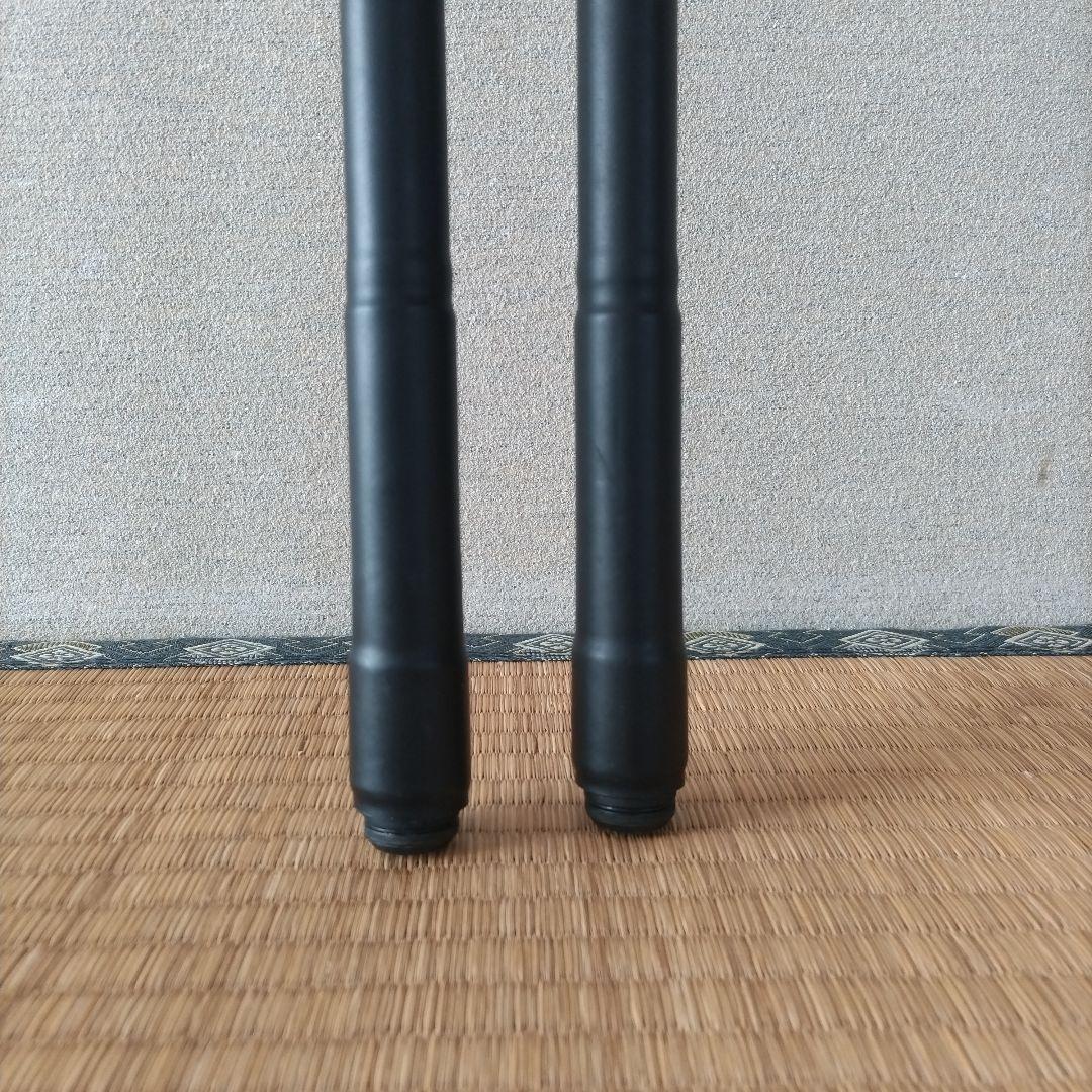 ダイワ リバティクラブ アオリ 2本セット