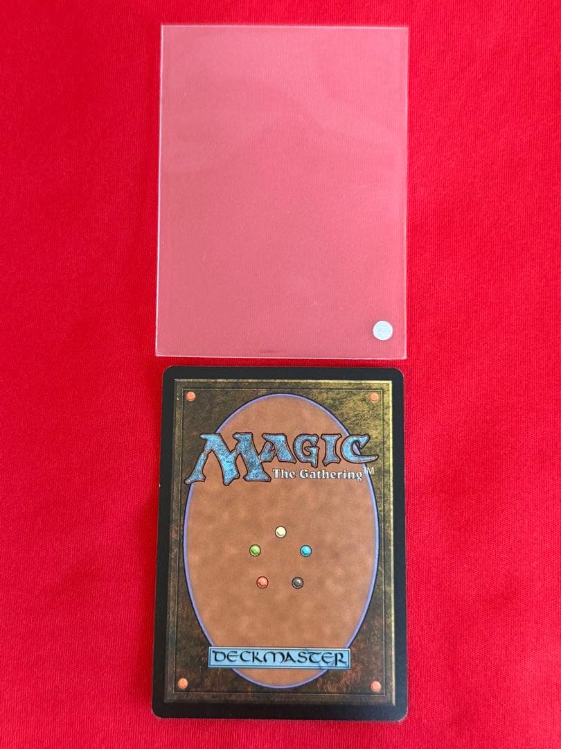 MTG Wooded Foothills 樹木茂る山麓 マジックザギャザリング