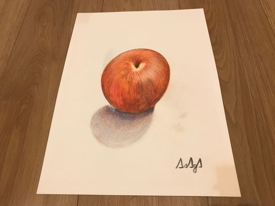 絵　水彩色鉛筆画　AsAgA 新品　水彩色鉛筆　送料無料　匿名配送