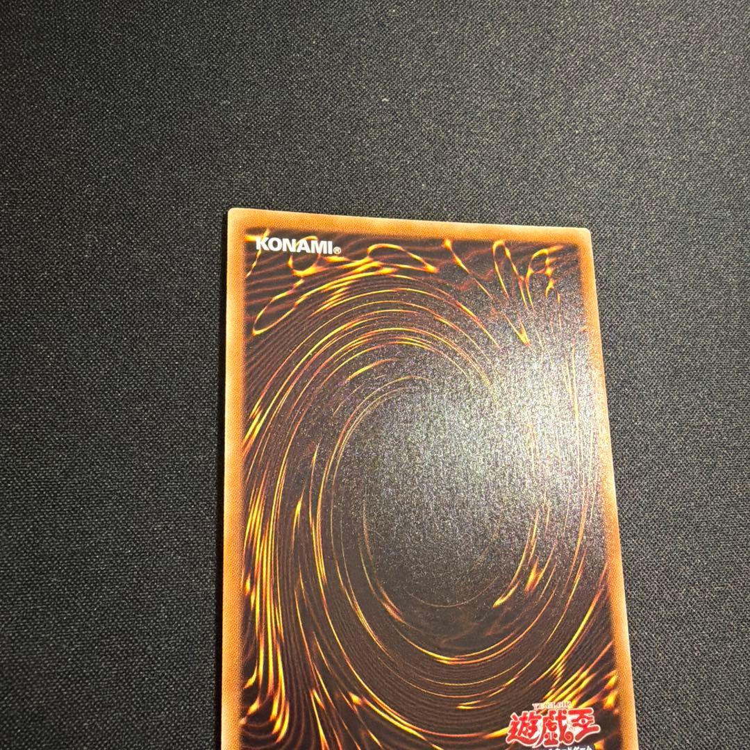 ナチュルパルキオン DTC シークレット 遊戯王
