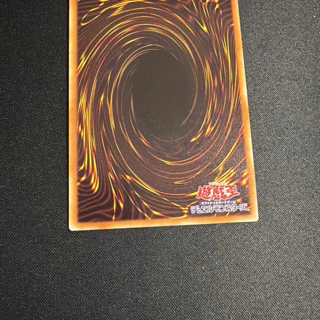 ナチュルパルキオン DTC シークレット 遊戯王