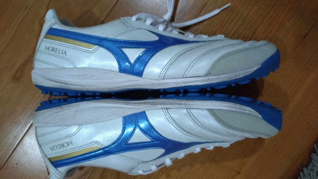ごん Mizuno モレリア サラ エリート トレシュー 26.5cm