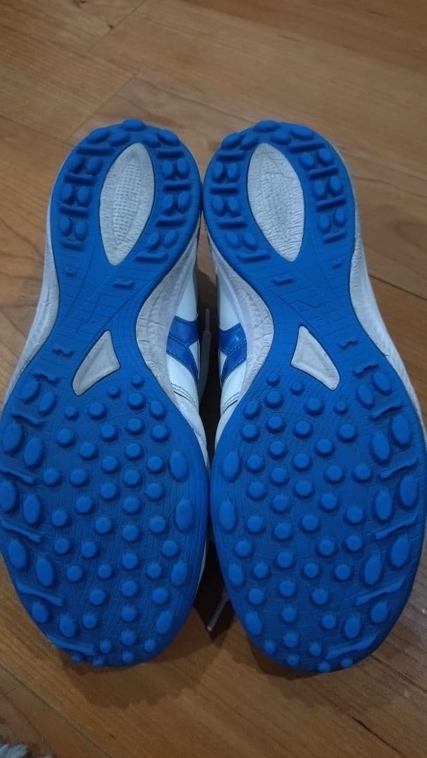 ごん Mizuno モレリア サラ エリート トレシュー 26.5cm