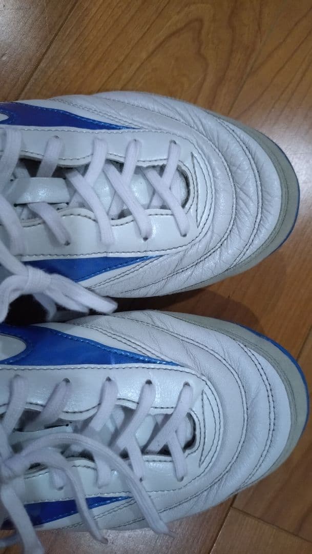 ごん Mizuno モレリア サラ エリート トレシュー 26.5cm
