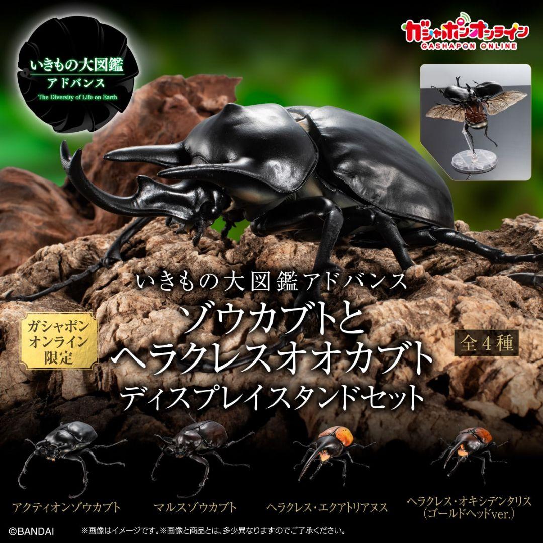 いきもの大図鑑アドバンス ヘラクレスオオカブト 甲虫王者ムシキング オンライン版
