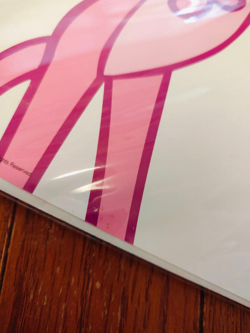 ピンクパンサー PINK PANTHER ポスター セット