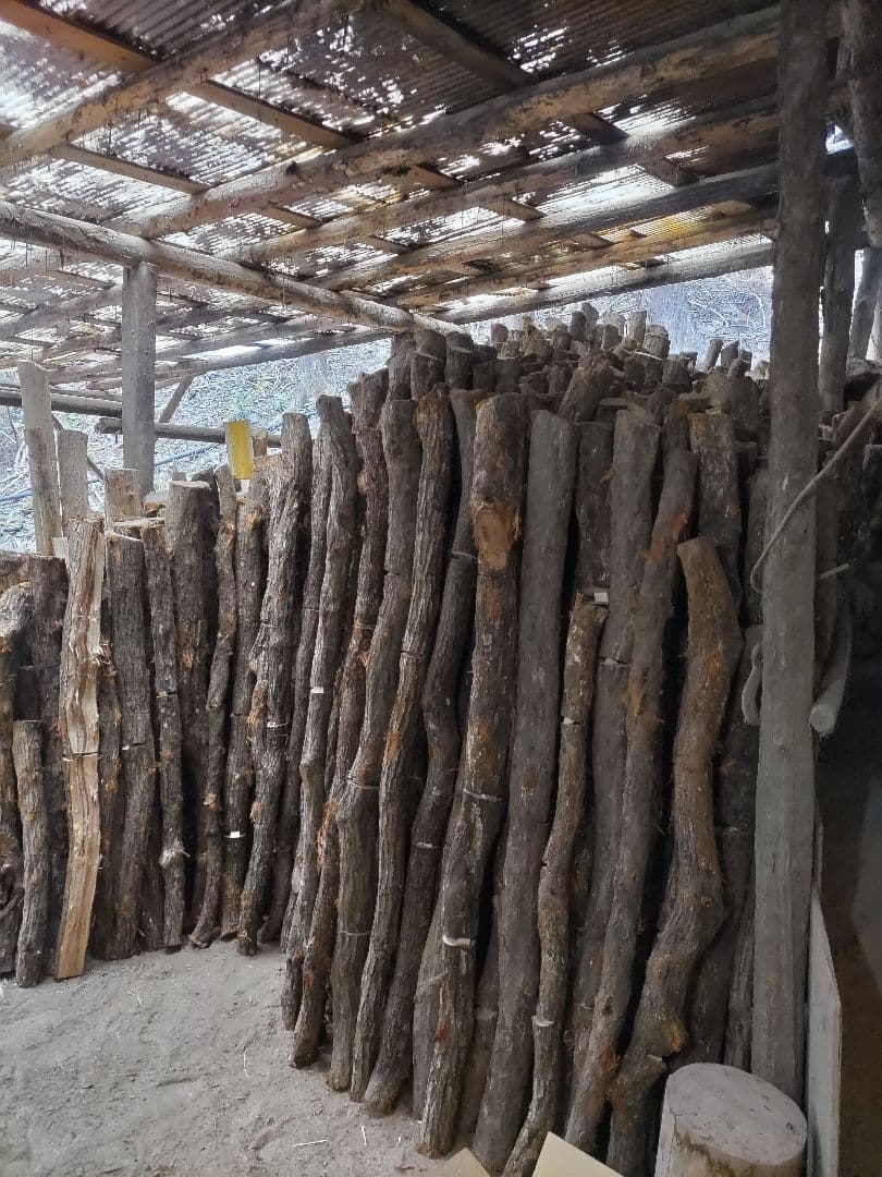 紀州備長炭 七輪用　15kg