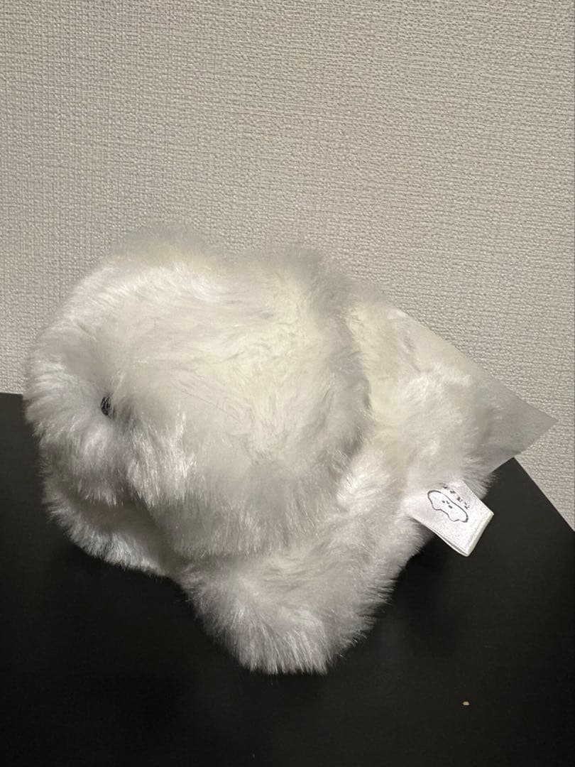 【完売品】花原史樹　中くらいのねこのてづくりぬいぐるみ
