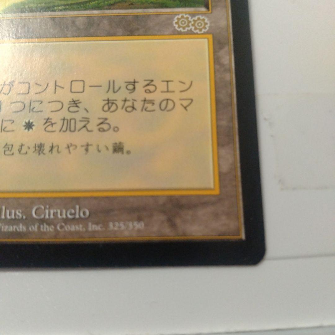 MTG セラの聖域 伝説の土地カード