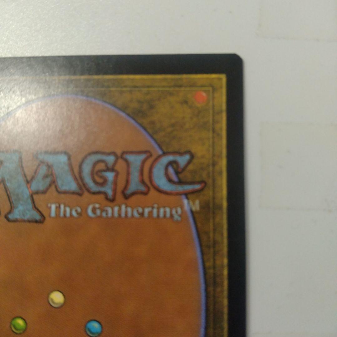MTG セラの聖域 伝説の土地カード