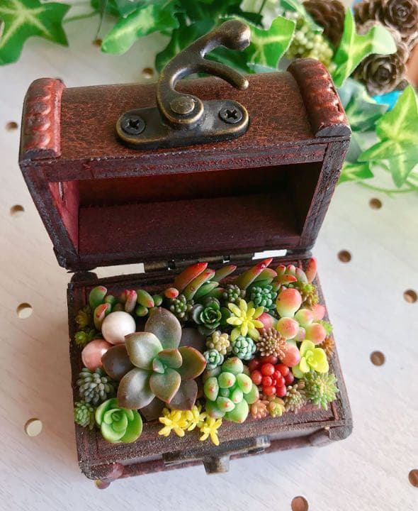 ★★豪華❤️★ヴィンテージボックス★寄せ植え★このまま飾れます★多肉植物