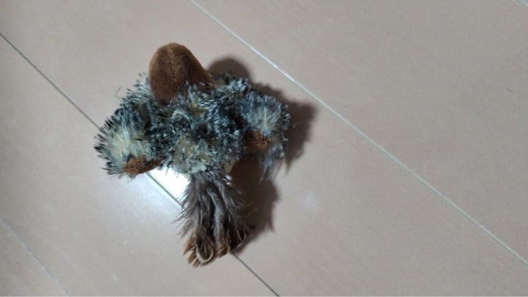 猫 おもちゃ 鳥 鳴く ストレス発散