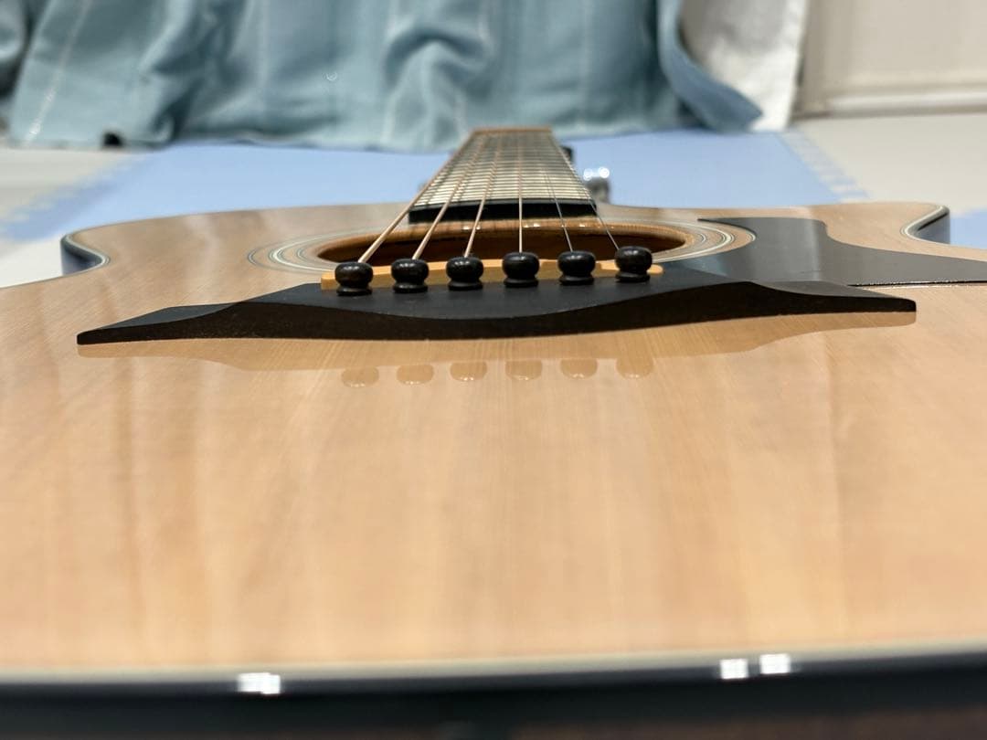 Taylor 312ce ハードケース付　エレアコ