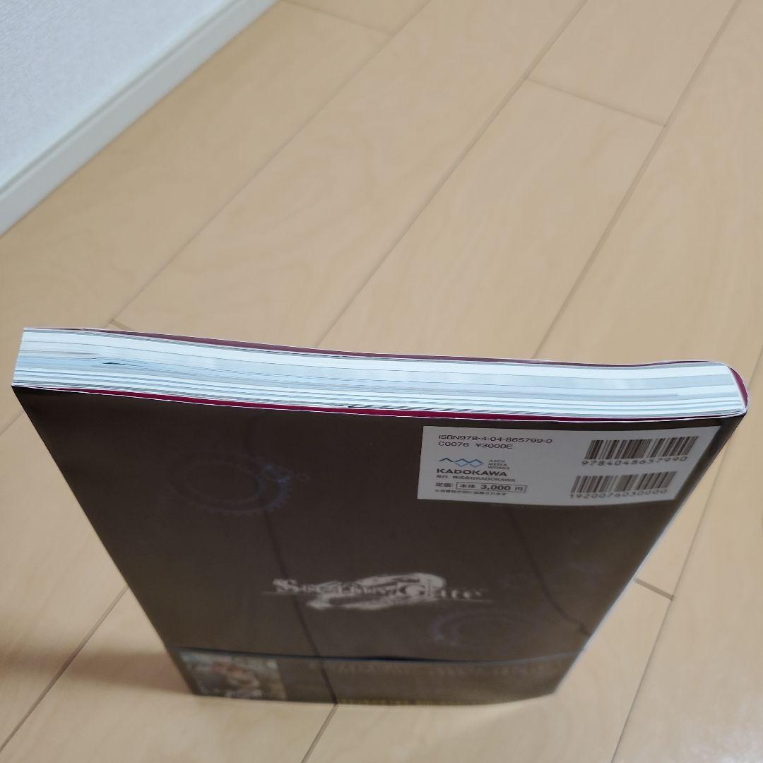 STEINS;GATE 公式資料 Amadeus' Script