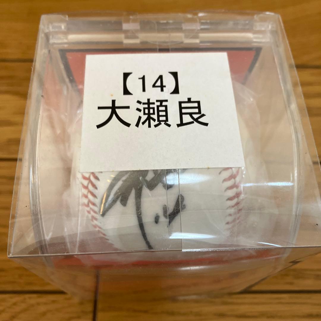 球団公認！大瀬良大地選手　直筆サインボール　広島東洋カープ