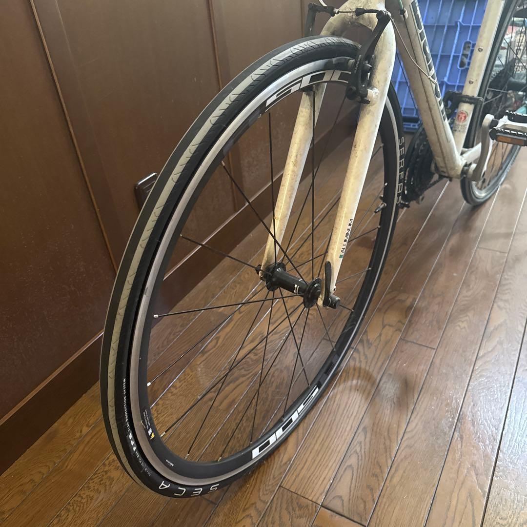 【まさや】Bianchi カメレオンテ 引き取り可能な方！愛知県岡崎市