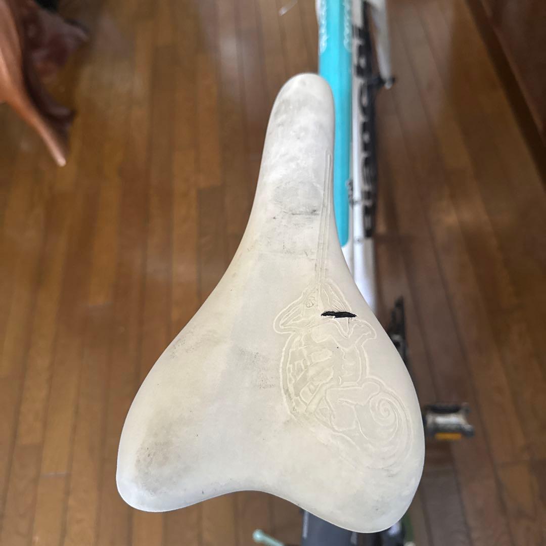 【まさや】Bianchi カメレオンテ 引き取り可能な方！愛知県岡崎市