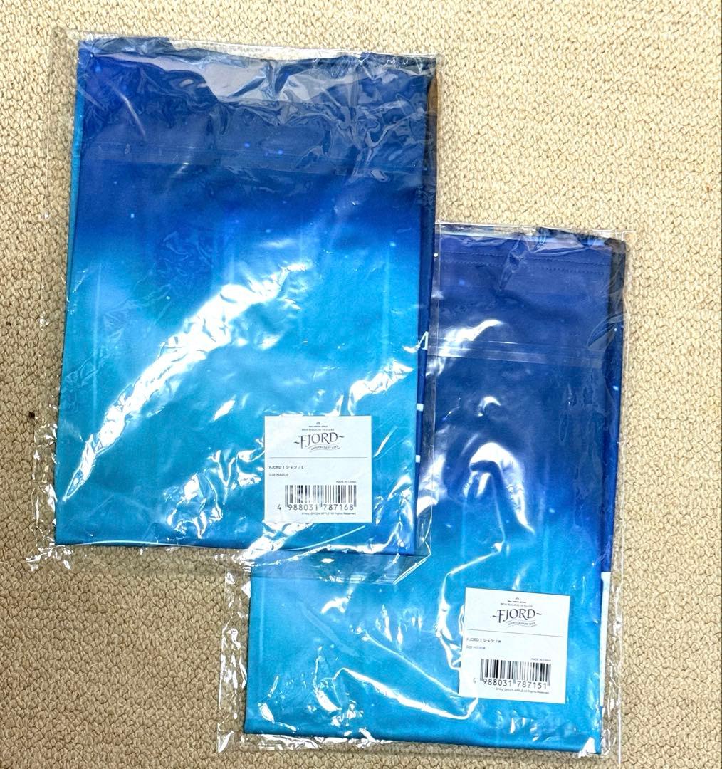 ミセス FJORD Tシャツ 2枚ペア M&L 若井さん着用モデル