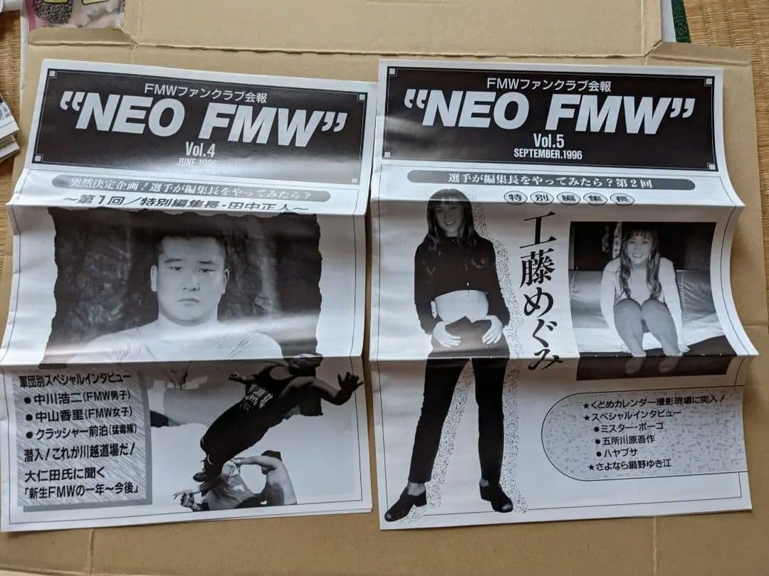 NEO FMW ファンクラブ会報　工藤めぐみ　ハヤブサ　WING金村