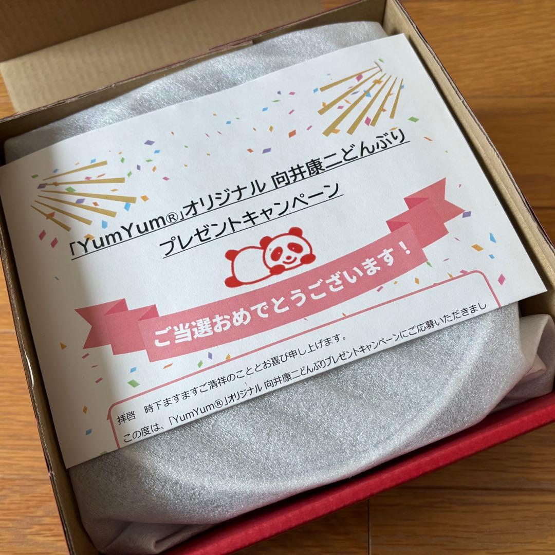 Man 向井康二 丼ぶり