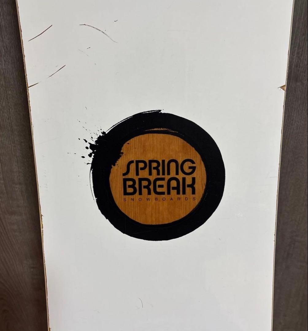 SPRING BREAK MINI TREE HUNTER 151cm パウダー