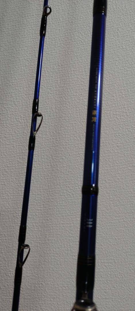 【Daiwa 】極鋭 ヒラメ 300