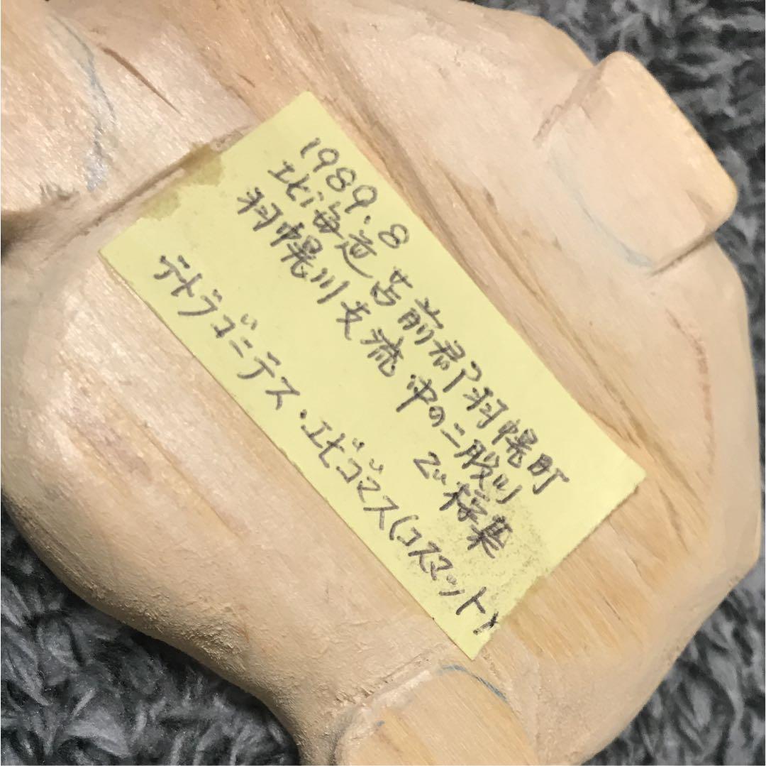 化石 テトラゴニテス