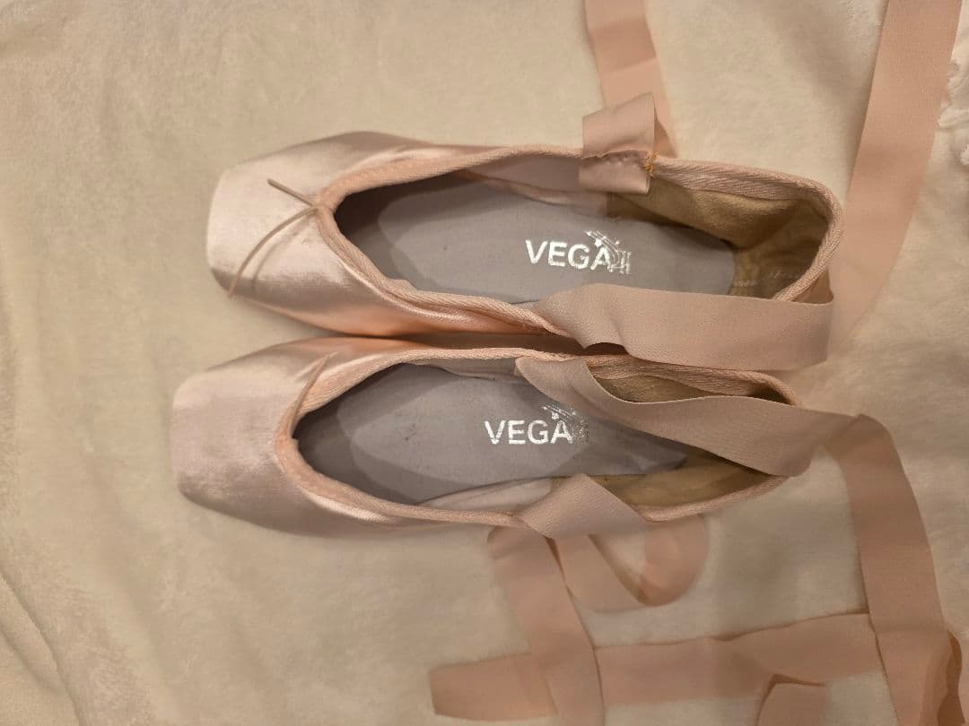 バレエトウシューズ②(シルビア\"Vega\")