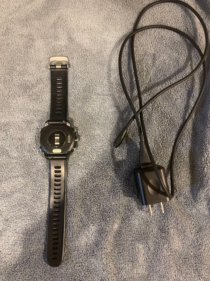 その他 Garmin245