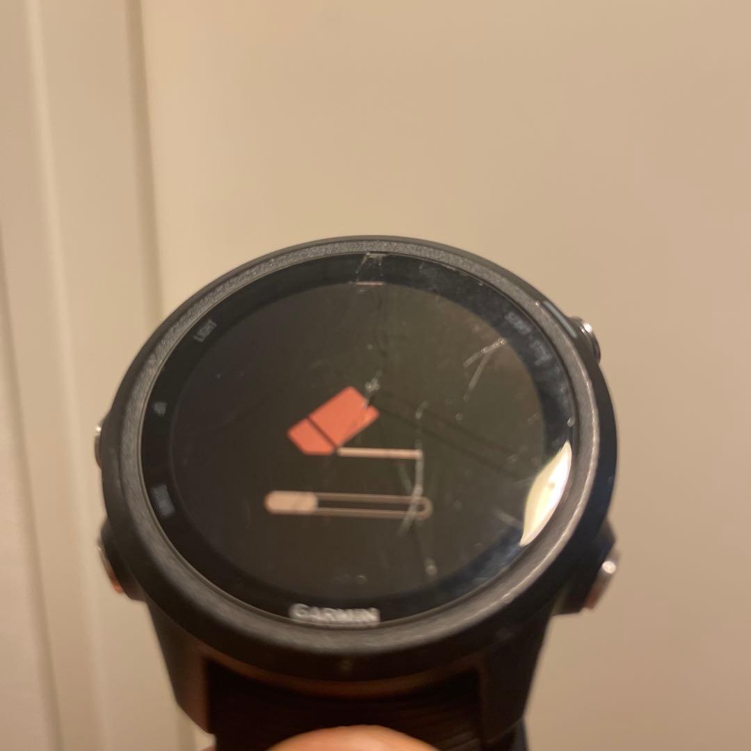 その他 Garmin245