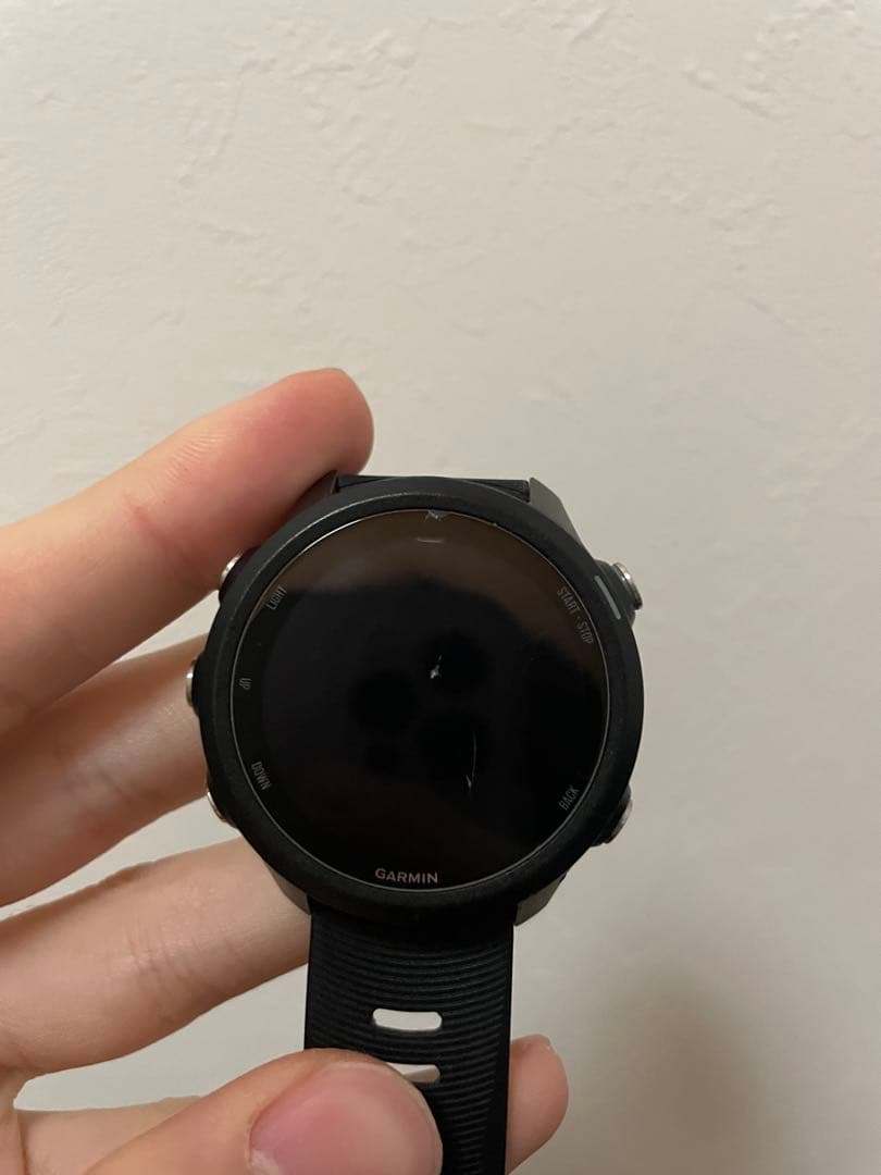 その他 Garmin245