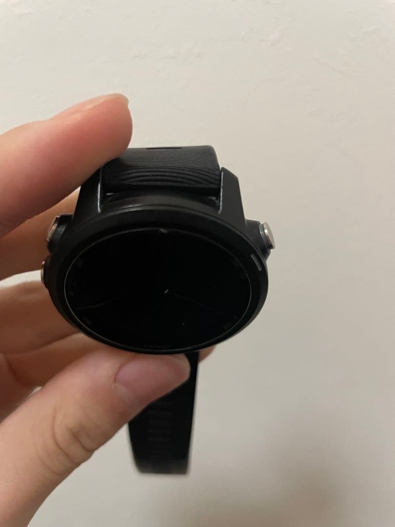その他 Garmin245