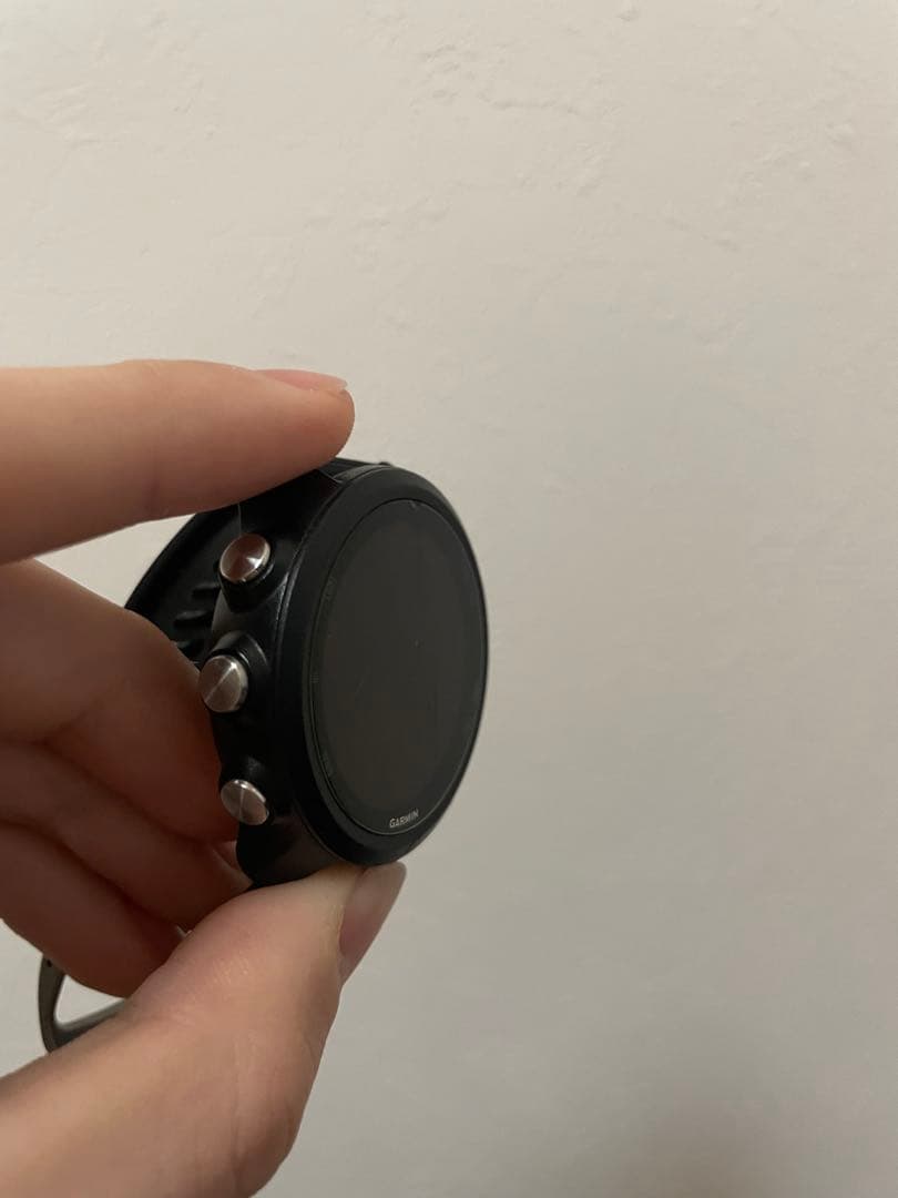 その他 Garmin245