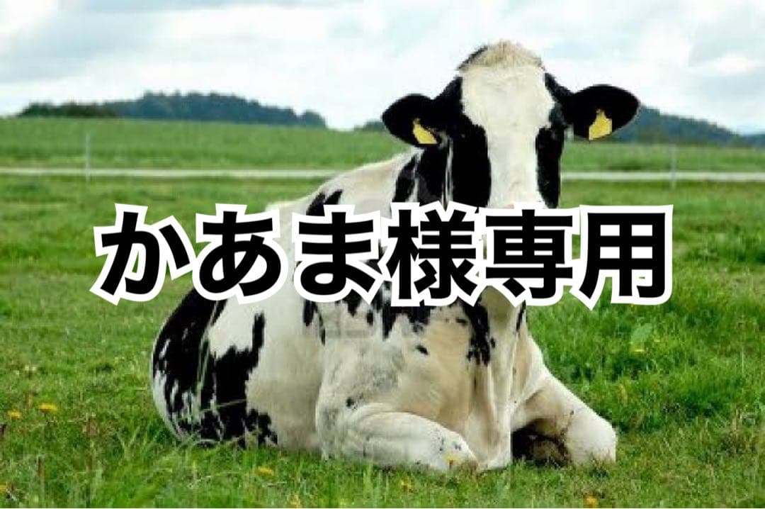 画像内容